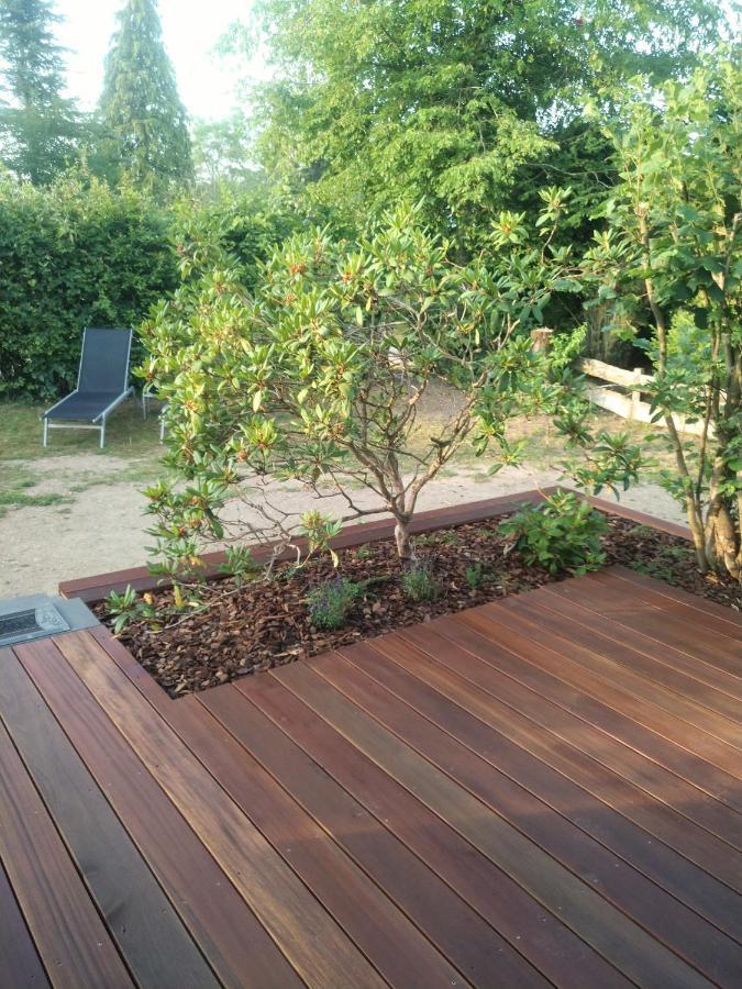 Ferienhaus Freilingen 블랑켄하임 외부 사진